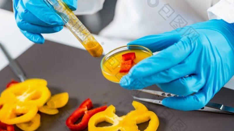 食品招商哪家好公司